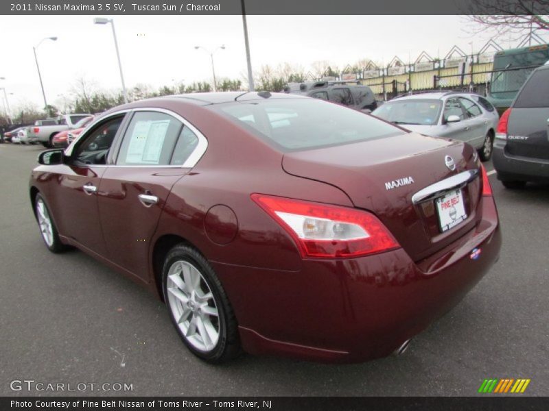 Tuscan Sun / Charcoal 2011 Nissan Maxima 3.5 SV