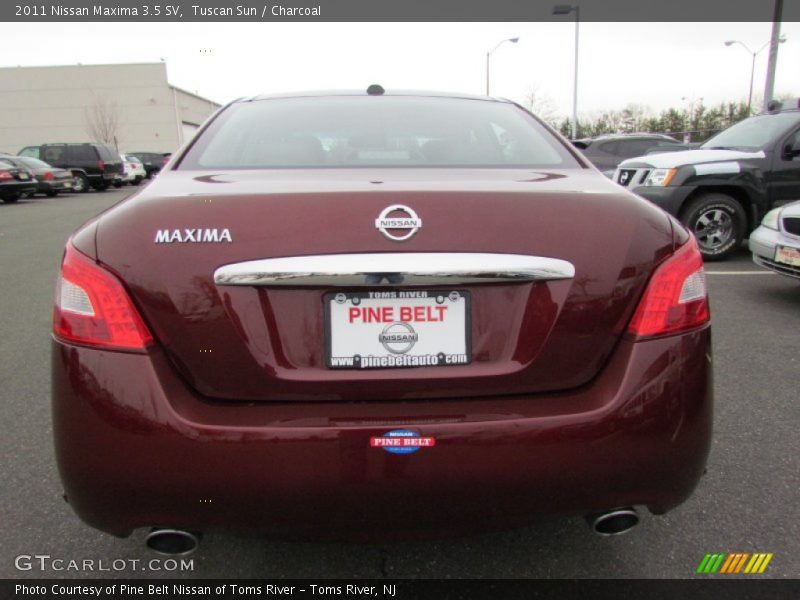 Tuscan Sun / Charcoal 2011 Nissan Maxima 3.5 SV
