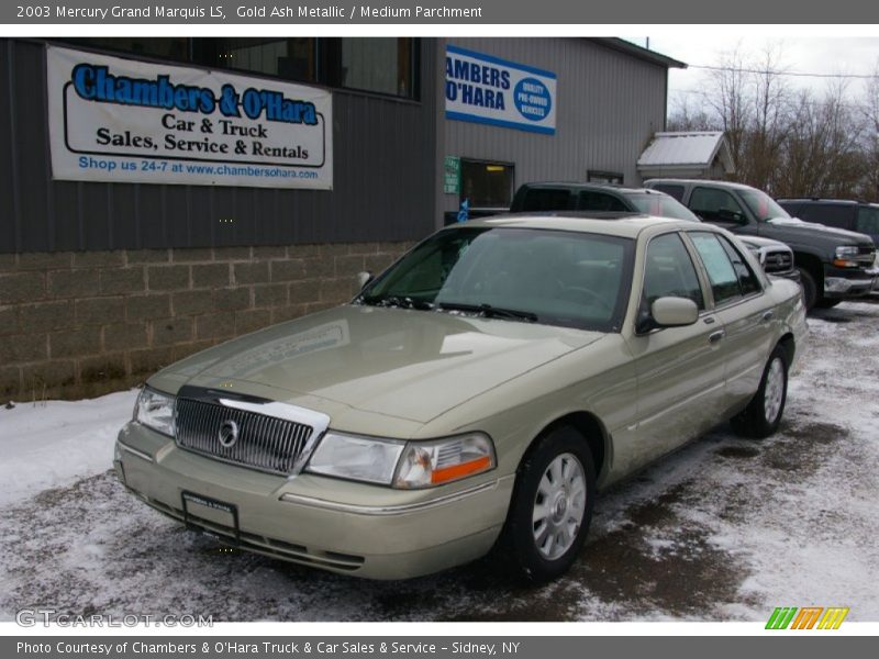 Gold Ash Metallic / Medium Parchment 2003 Mercury Grand Marquis LS