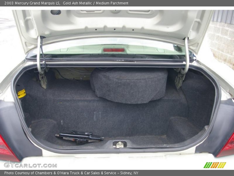 Gold Ash Metallic / Medium Parchment 2003 Mercury Grand Marquis LS