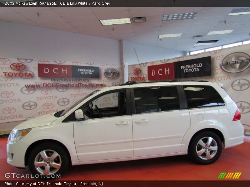 Calla Lilly White / Aero Grey 2009 Volkswagen Routan SE