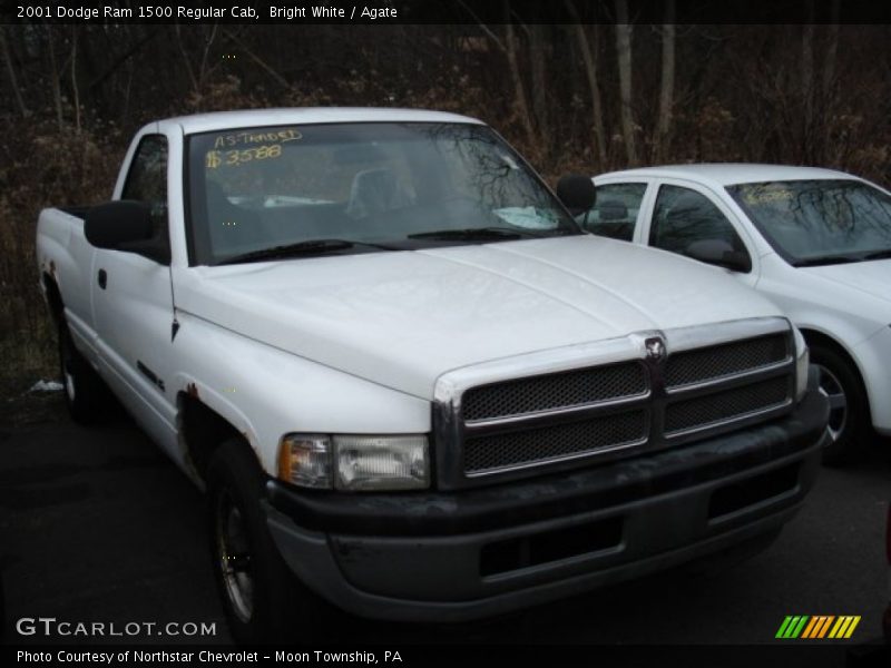 Bright White / Agate 2001 Dodge Ram 1500 Regular Cab