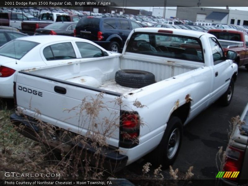 Bright White / Agate 2001 Dodge Ram 1500 Regular Cab