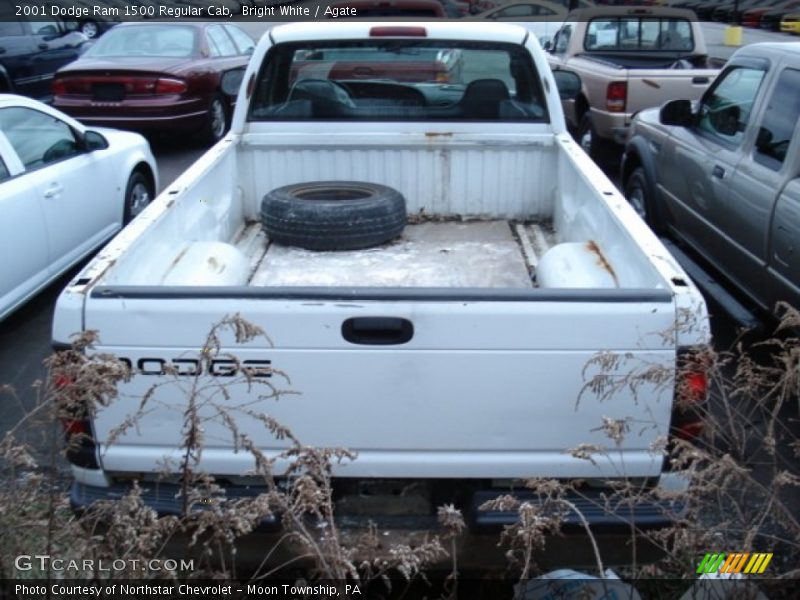 Bright White / Agate 2001 Dodge Ram 1500 Regular Cab