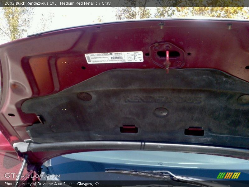 Medium Red Metallic / Gray 2003 Buick Rendezvous CXL