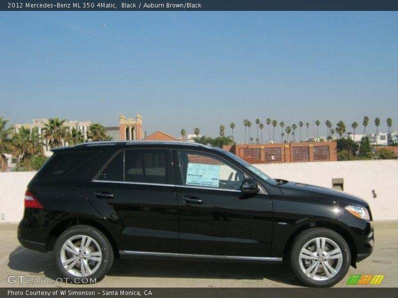 Black / Auburn Brown/Black 2012 Mercedes-Benz ML 350 4Matic