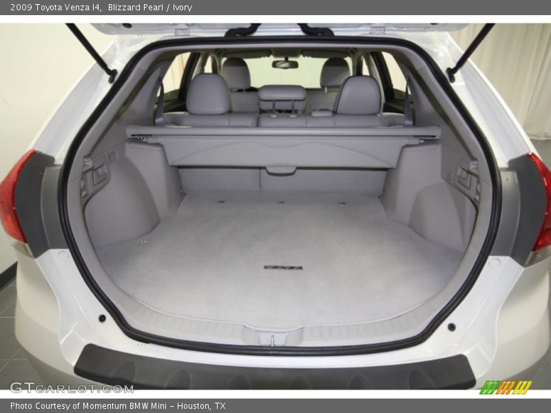 Blizzard Pearl / Ivory 2009 Toyota Venza I4