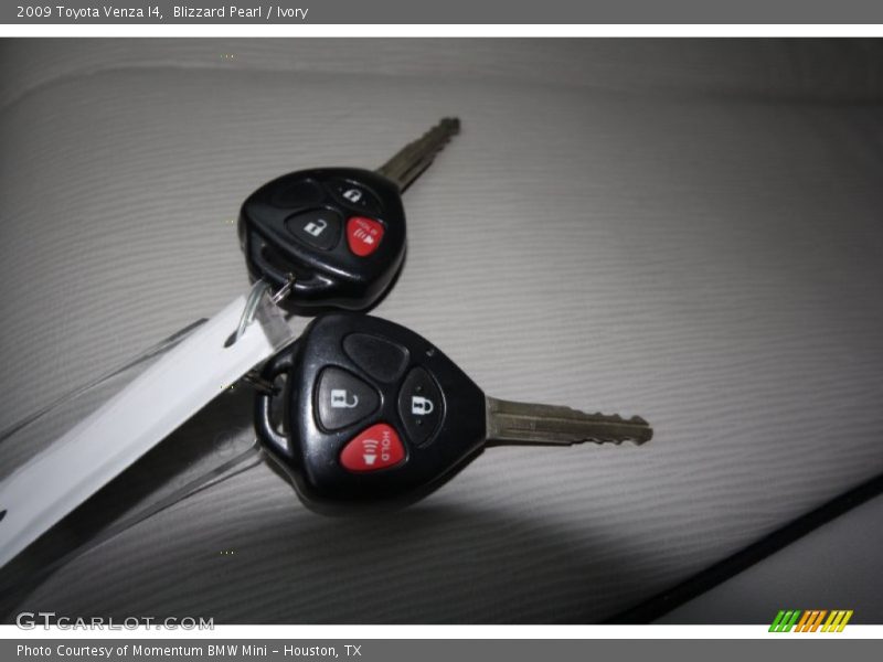 Blizzard Pearl / Ivory 2009 Toyota Venza I4