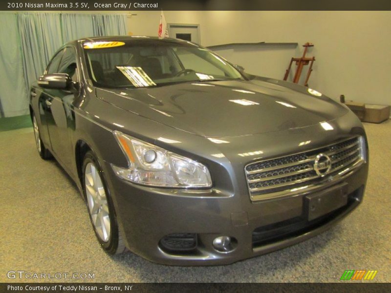 Ocean Gray / Charcoal 2010 Nissan Maxima 3.5 SV