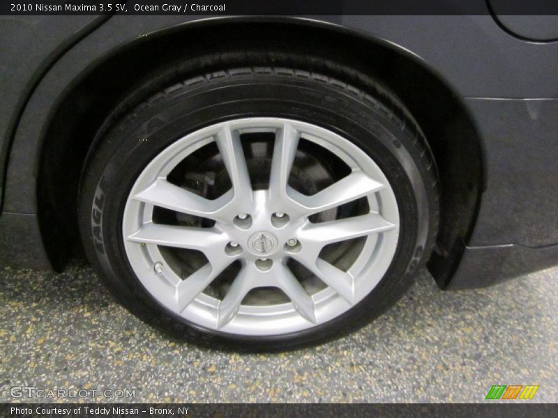 Ocean Gray / Charcoal 2010 Nissan Maxima 3.5 SV