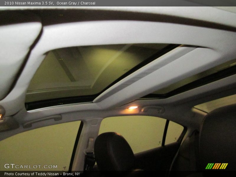 Ocean Gray / Charcoal 2010 Nissan Maxima 3.5 SV