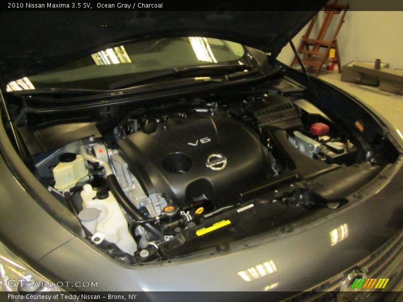 Ocean Gray / Charcoal 2010 Nissan Maxima 3.5 SV