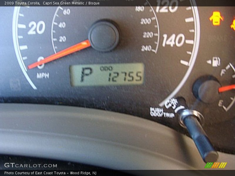 Capri Sea Green Metallic / Bisque 2009 Toyota Corolla