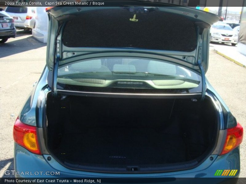 Capri Sea Green Metallic / Bisque 2009 Toyota Corolla