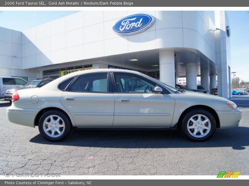 Gold Ash Metallic / Medium/Dark Pebble Beige 2006 Ford Taurus SEL