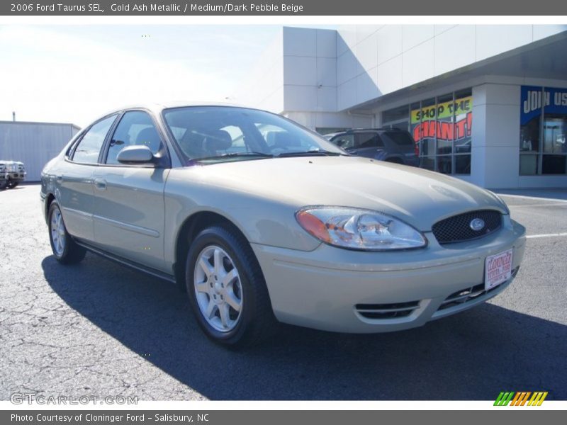 Gold Ash Metallic / Medium/Dark Pebble Beige 2006 Ford Taurus SEL