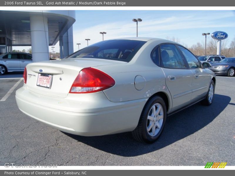 Gold Ash Metallic / Medium/Dark Pebble Beige 2006 Ford Taurus SEL