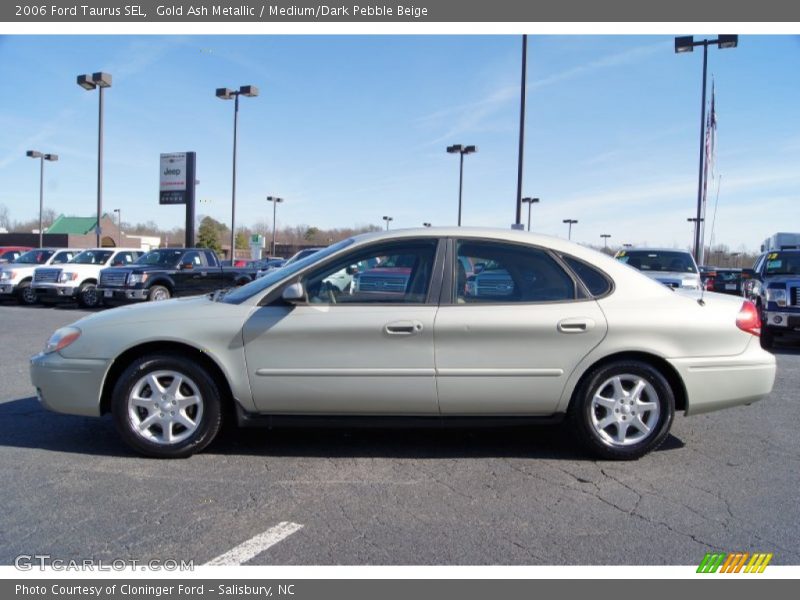  2006 Taurus SEL Gold Ash Metallic