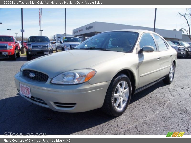 Gold Ash Metallic / Medium/Dark Pebble Beige 2006 Ford Taurus SEL