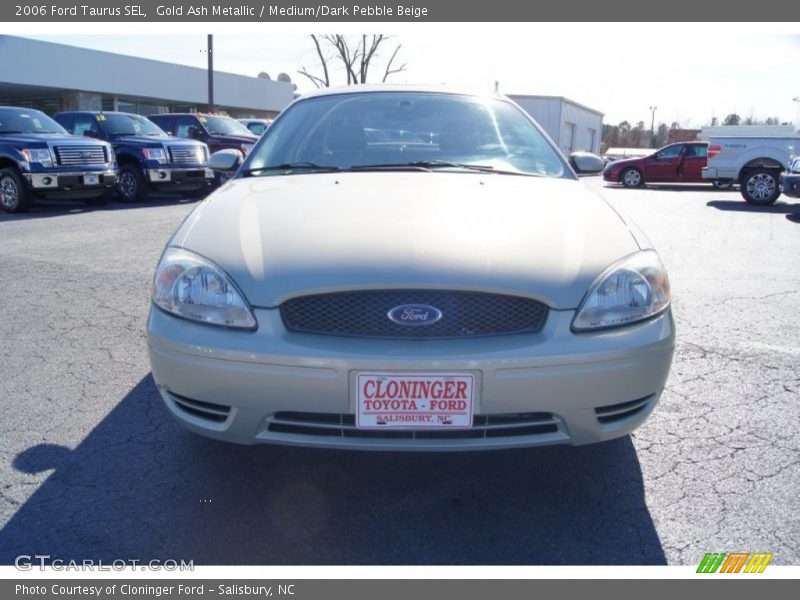 Gold Ash Metallic / Medium/Dark Pebble Beige 2006 Ford Taurus SEL