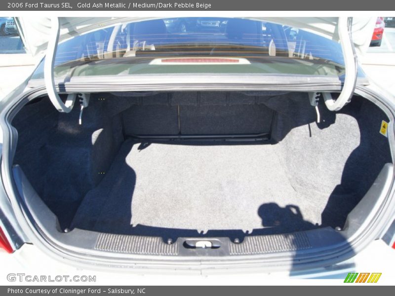 Gold Ash Metallic / Medium/Dark Pebble Beige 2006 Ford Taurus SEL