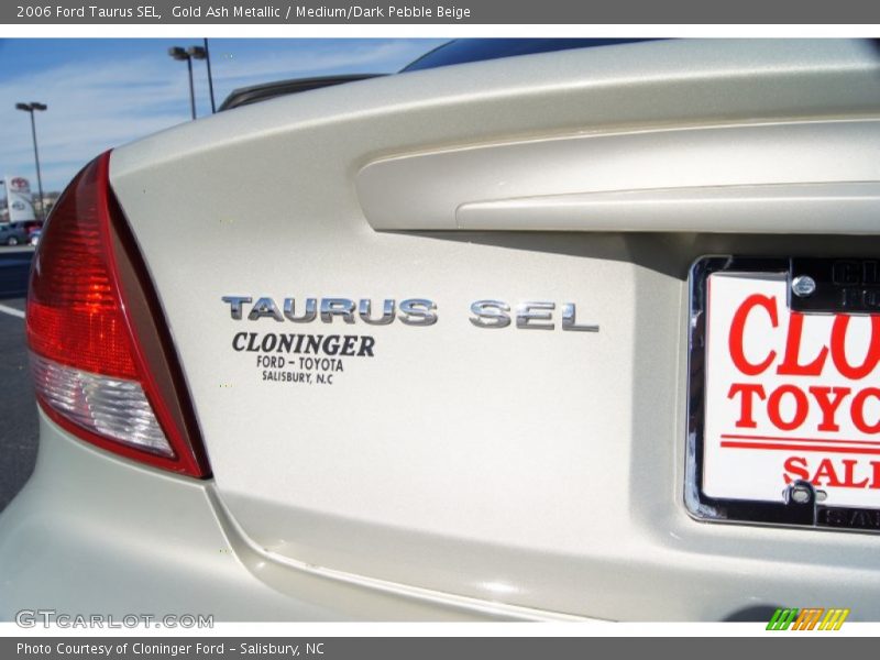 Gold Ash Metallic / Medium/Dark Pebble Beige 2006 Ford Taurus SEL