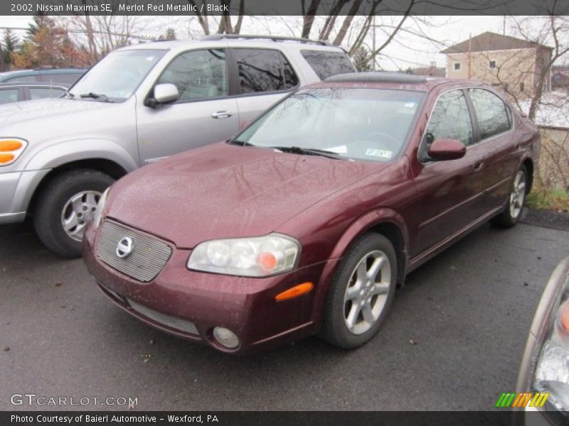 Merlot Red Metallic / Black 2002 Nissan Maxima SE