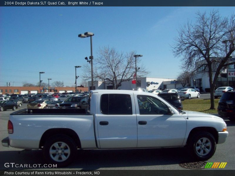 Bright White / Taupe 2004 Dodge Dakota SLT Quad Cab