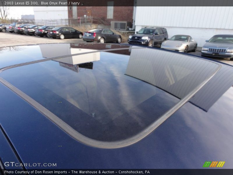 Blue Onyx Pearl / Ivory 2003 Lexus ES 300