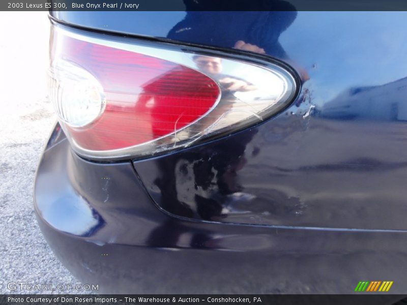 Blue Onyx Pearl / Ivory 2003 Lexus ES 300