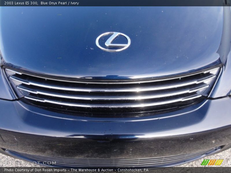 Blue Onyx Pearl / Ivory 2003 Lexus ES 300