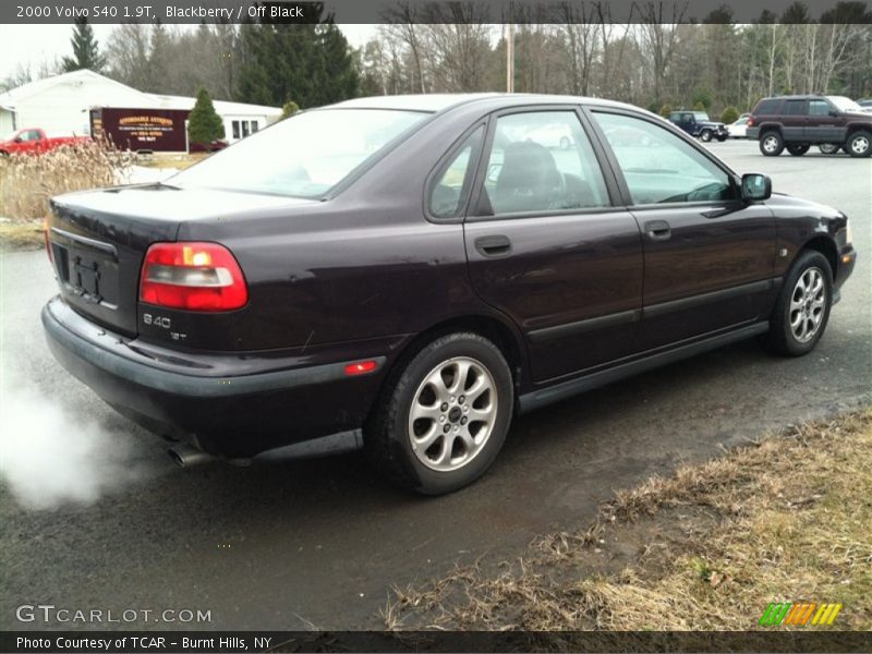 Blackberry / Off Black 2000 Volvo S40 1.9T