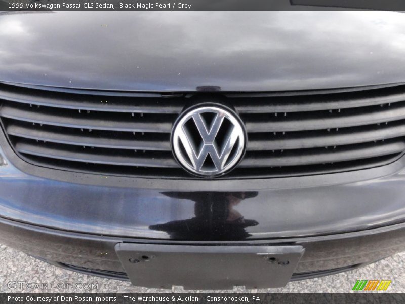 Black Magic Pearl / Grey 1999 Volkswagen Passat GLS Sedan