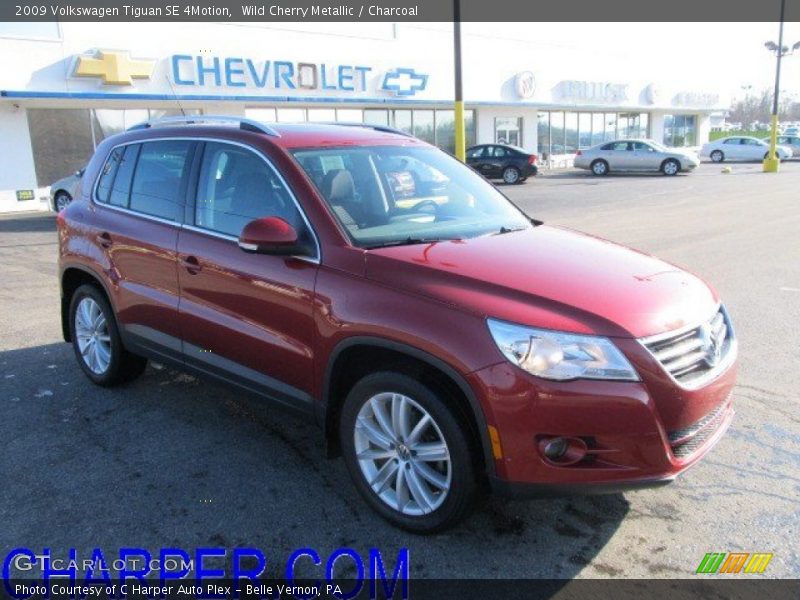 Wild Cherry Metallic / Charcoal 2009 Volkswagen Tiguan SE 4Motion