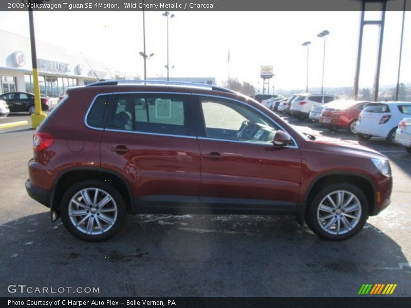 Wild Cherry Metallic / Charcoal 2009 Volkswagen Tiguan SE 4Motion