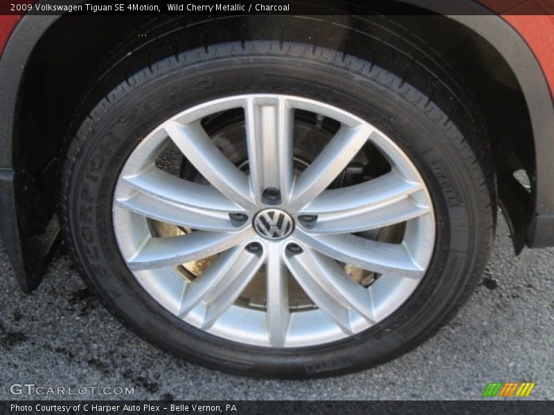 Wild Cherry Metallic / Charcoal 2009 Volkswagen Tiguan SE 4Motion