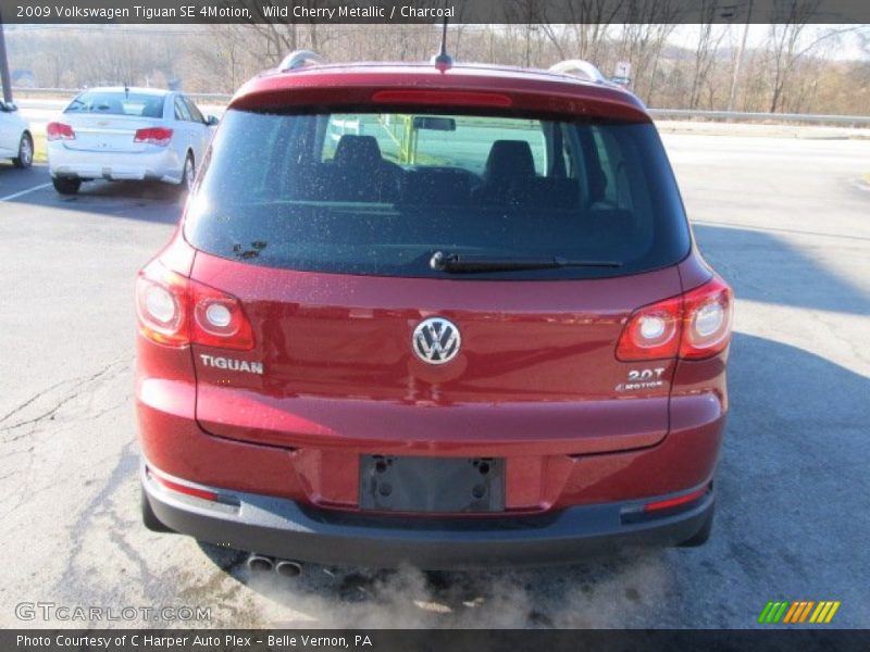 Wild Cherry Metallic / Charcoal 2009 Volkswagen Tiguan SE 4Motion