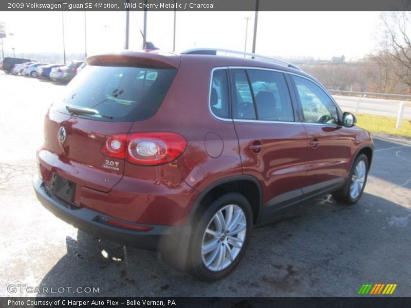 Wild Cherry Metallic / Charcoal 2009 Volkswagen Tiguan SE 4Motion
