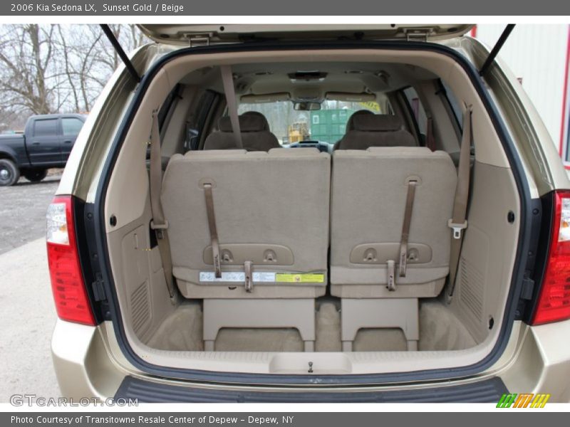Sunset Gold / Beige 2006 Kia Sedona LX