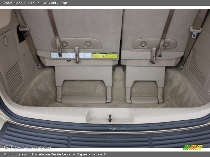 Sunset Gold / Beige 2006 Kia Sedona LX