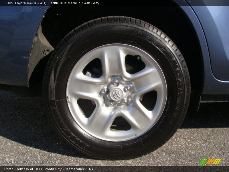 Pacific Blue Metallic / Ash Gray 2009 Toyota RAV4 4WD