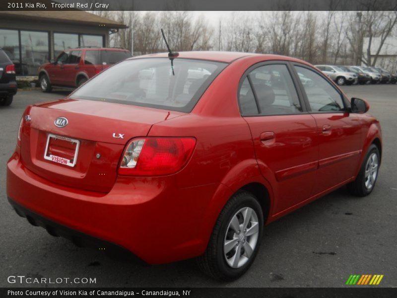 Tropical Red / Gray 2011 Kia Rio