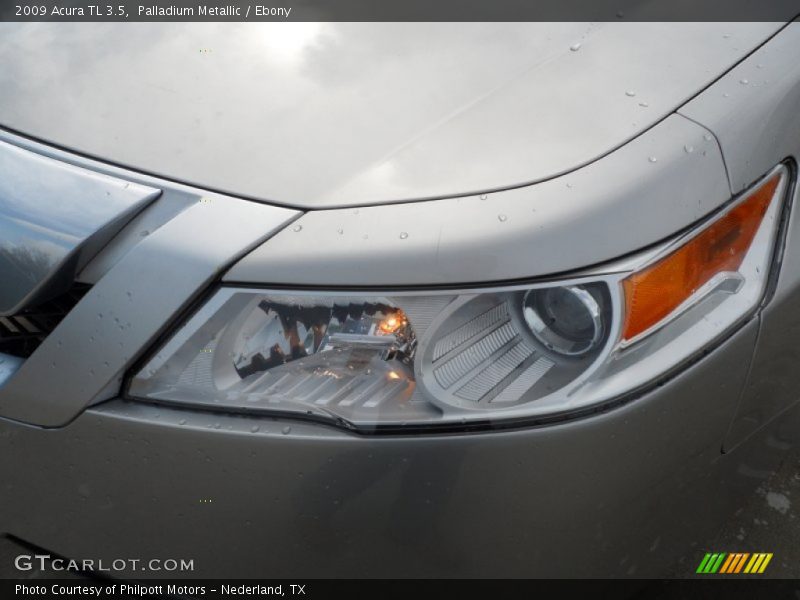 Palladium Metallic / Ebony 2009 Acura TL 3.5