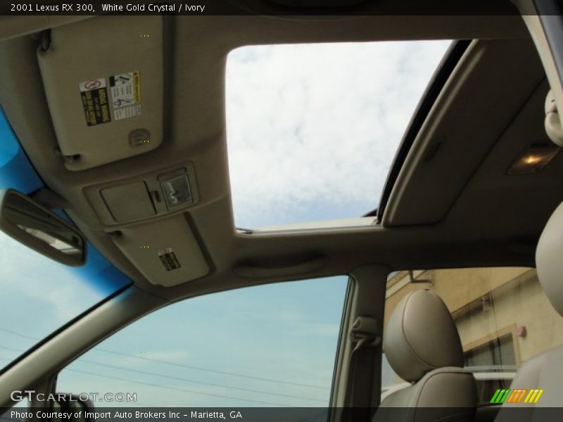White Gold Crystal / Ivory 2001 Lexus RX 300