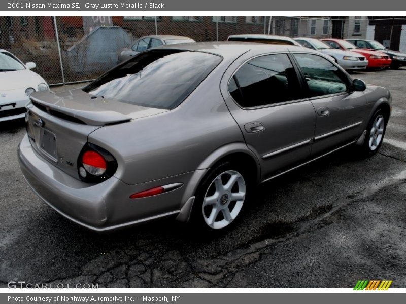 Gray Lustre Metallic / Black 2001 Nissan Maxima SE