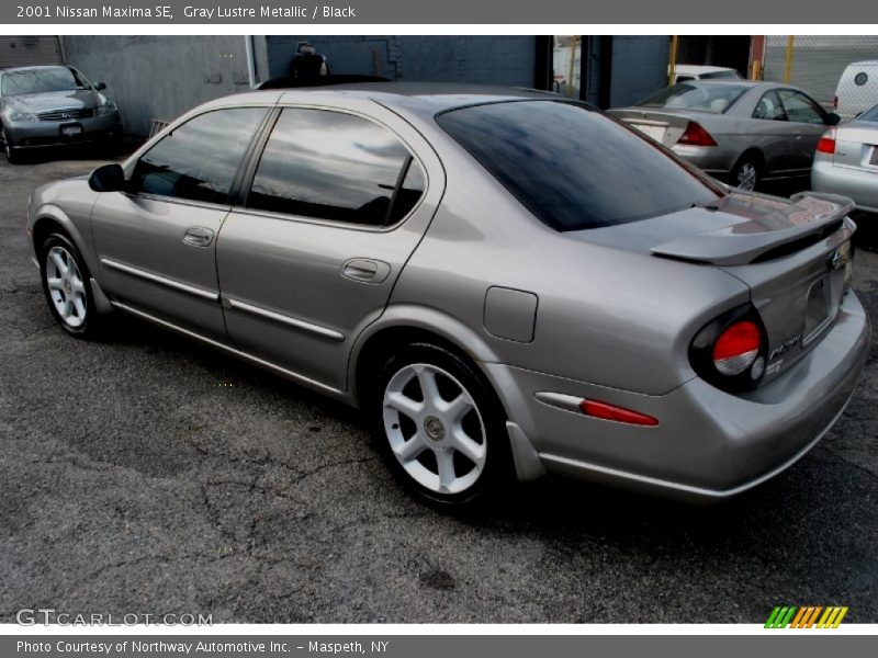 Gray Lustre Metallic / Black 2001 Nissan Maxima SE