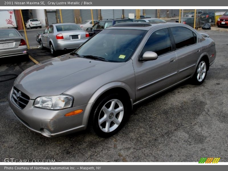 Gray Lustre Metallic / Black 2001 Nissan Maxima SE