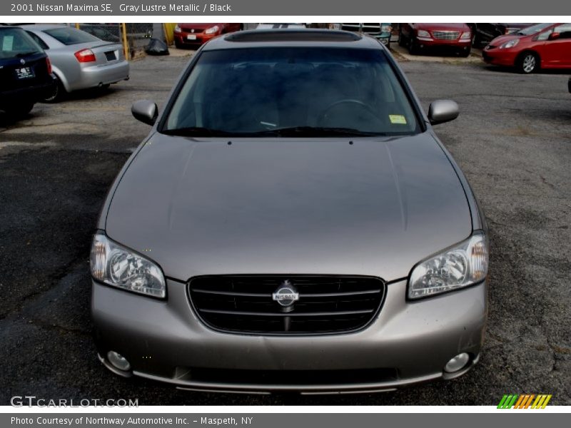 Gray Lustre Metallic / Black 2001 Nissan Maxima SE