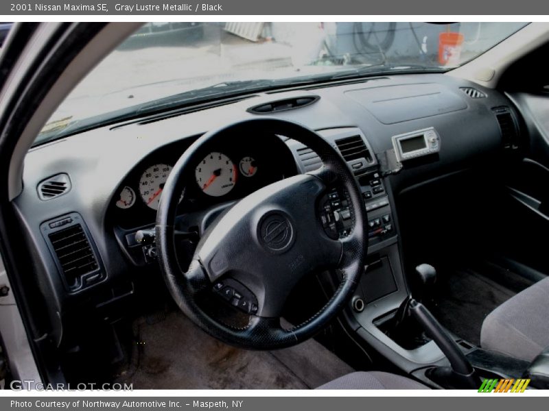 Gray Lustre Metallic / Black 2001 Nissan Maxima SE