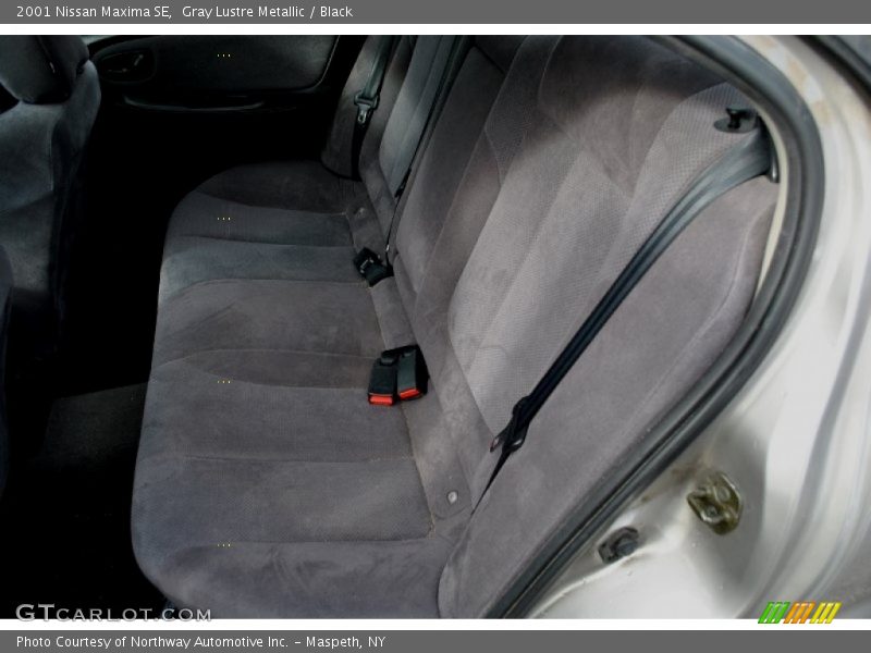 Gray Lustre Metallic / Black 2001 Nissan Maxima SE